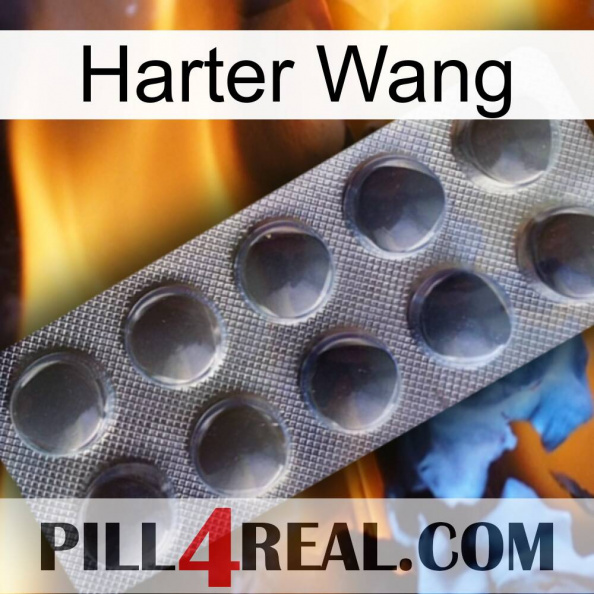 Hard Wang 30